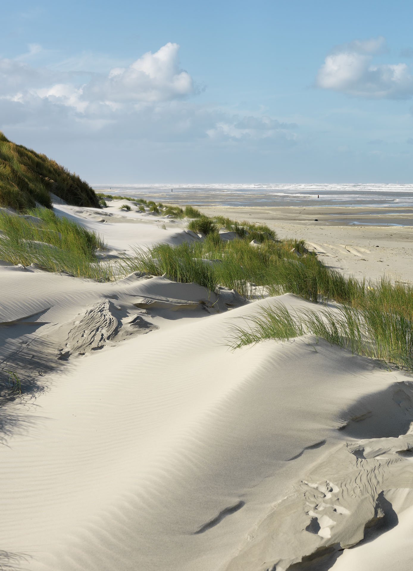 Centrum voor Natuur en Landschap large format prints — 4