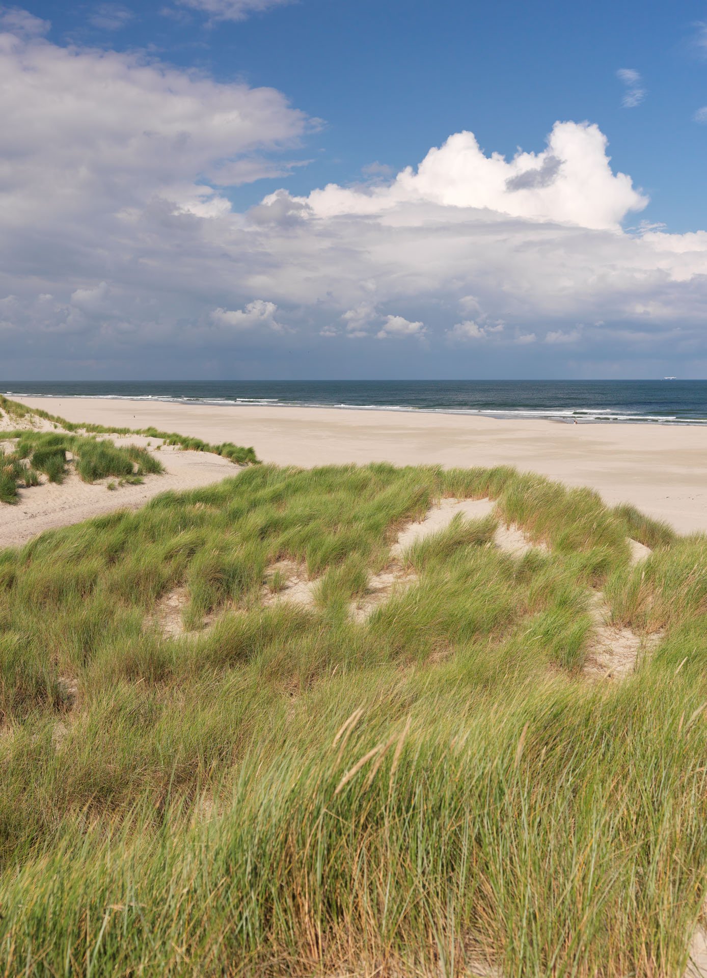 Centrum voor Natuur en Landschap large format prints