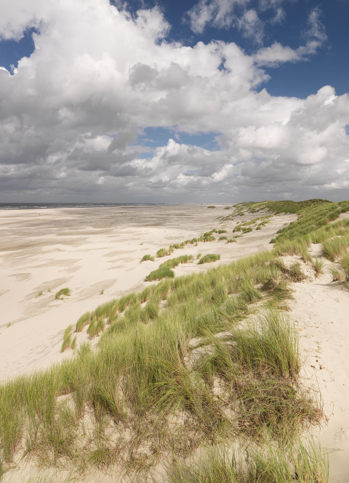 Centrum voor Natuur en Landschap large format prints — 2