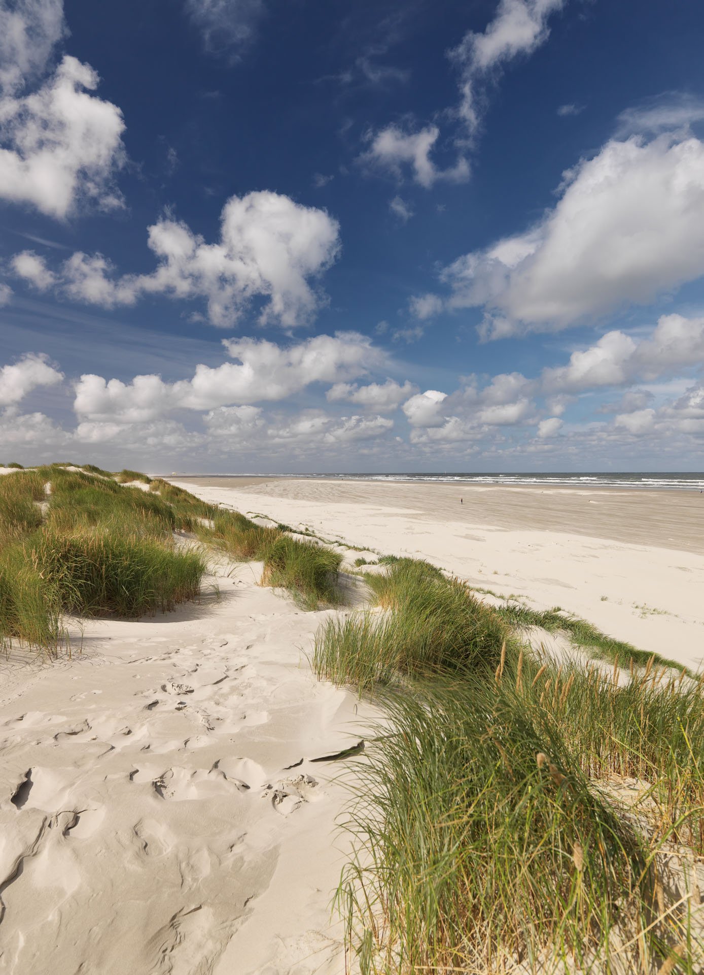 Centrum voor Natuur en Landschap large format prints — 3