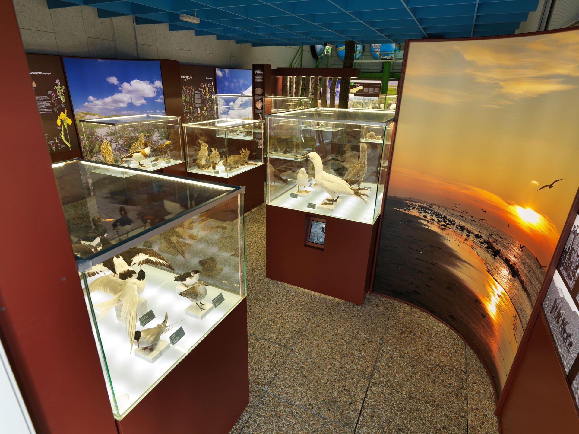 Centrum voor Natuur en Landschap large format prints — 17