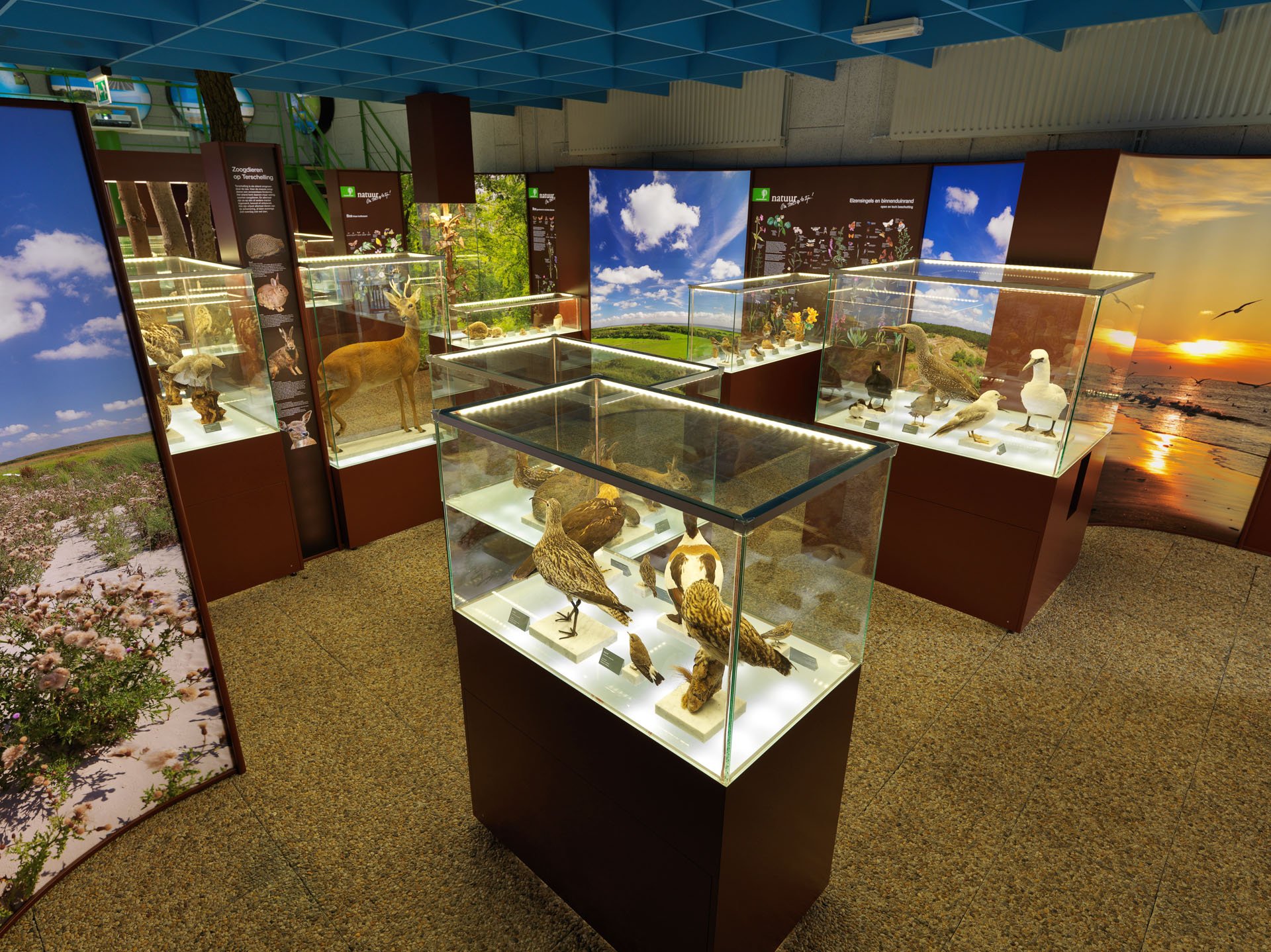 Centrum voor Natuur en Landschap large format prints — 18