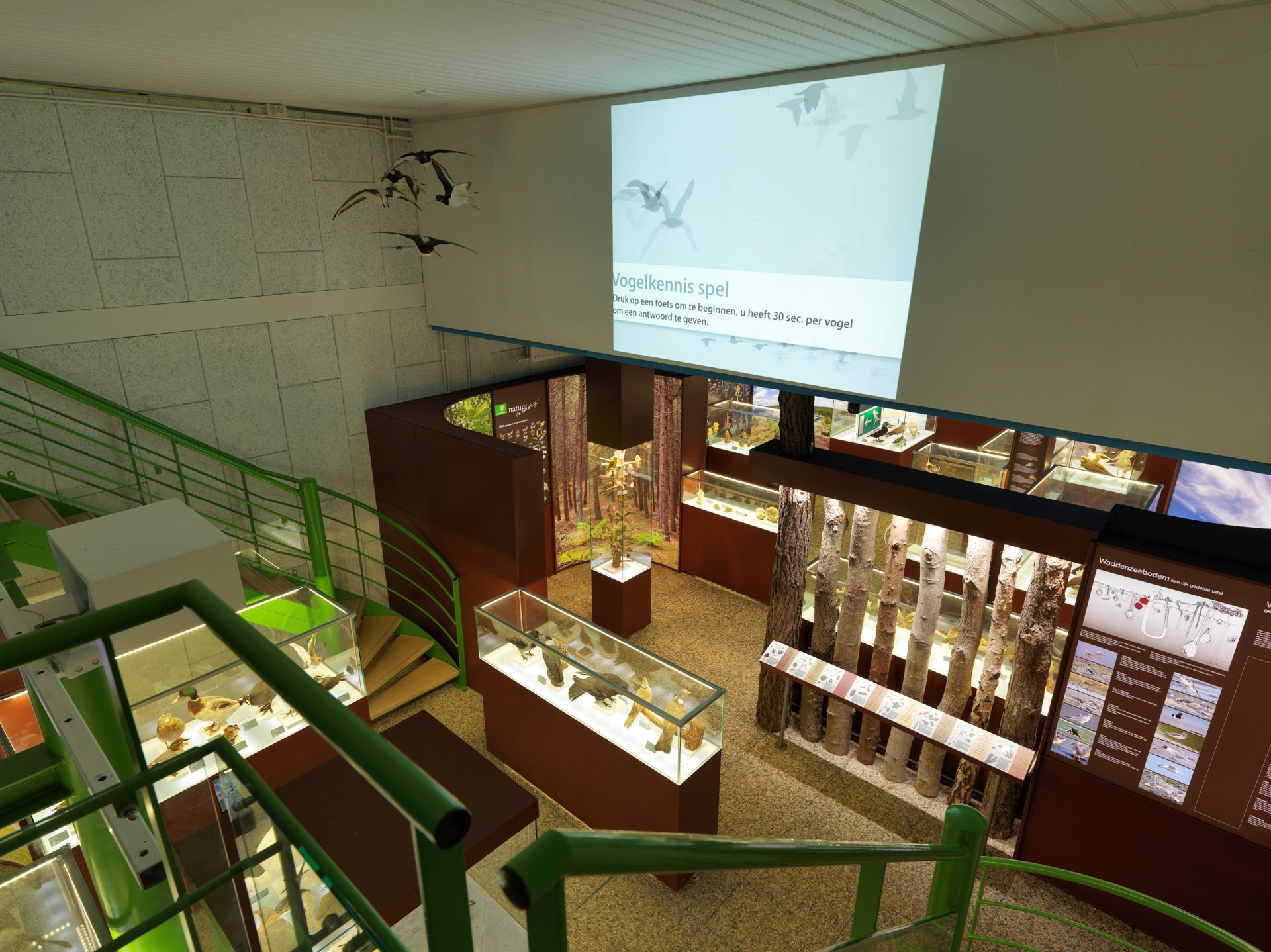 Centrum voor Natuur en Landschap large format prints — 20