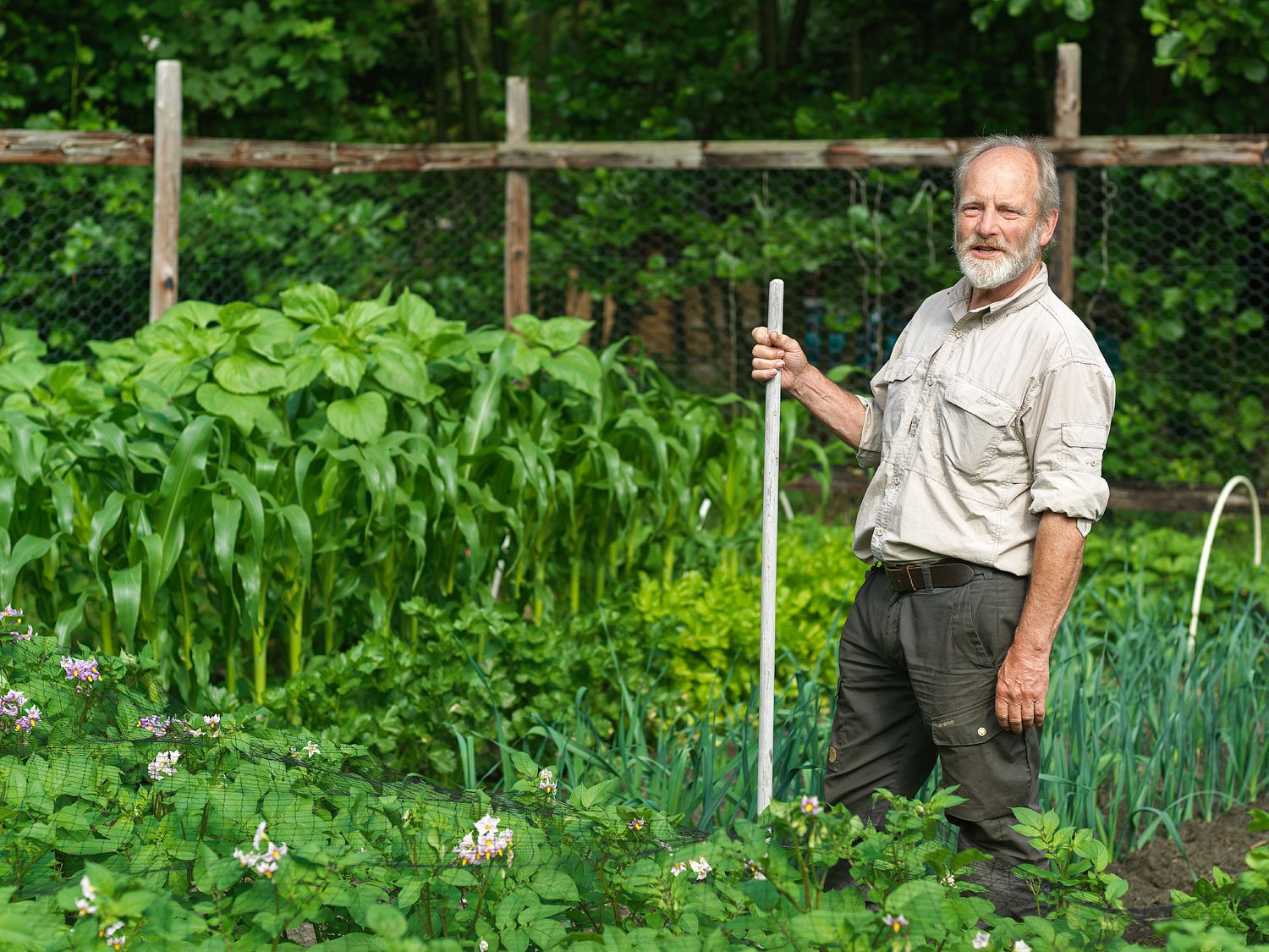 Garden Magazine "Klaas Mellema" — 5