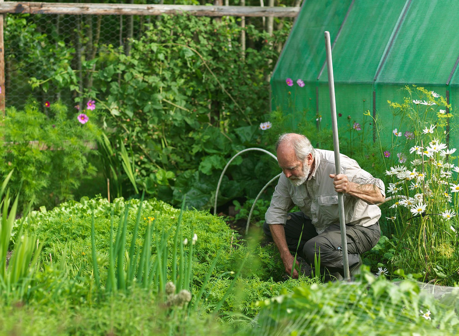 Garden Magazine "Klaas Mellema" — 8