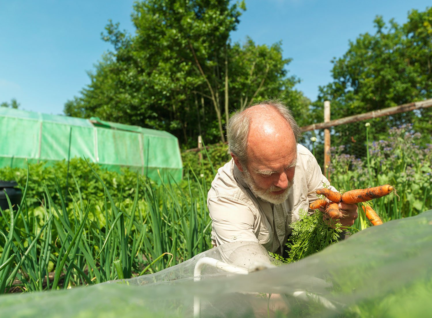 Garden Magazine "Klaas Mellema" — 11