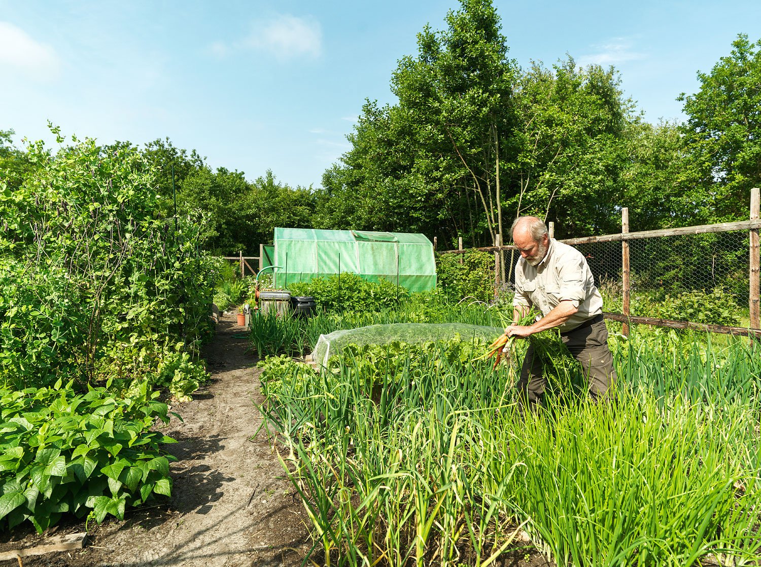 Garden Magazine "Klaas Mellema" — 14