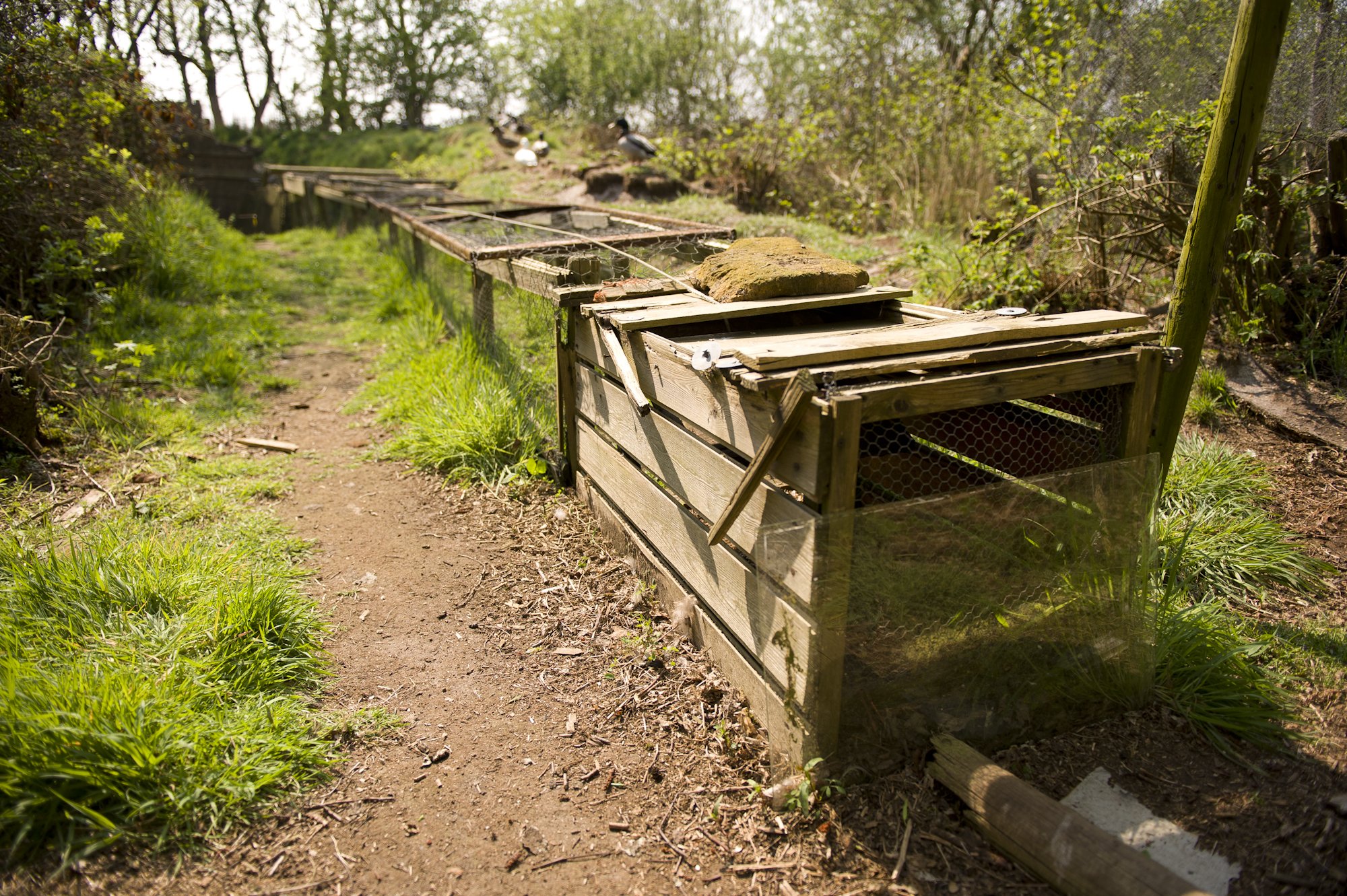 Book "Eendenkooien" — 13