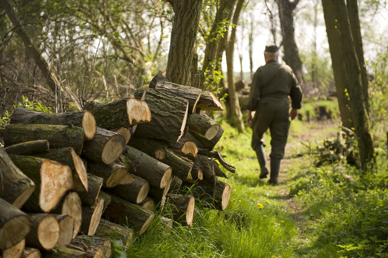 Book "Eendenkooien" — 3