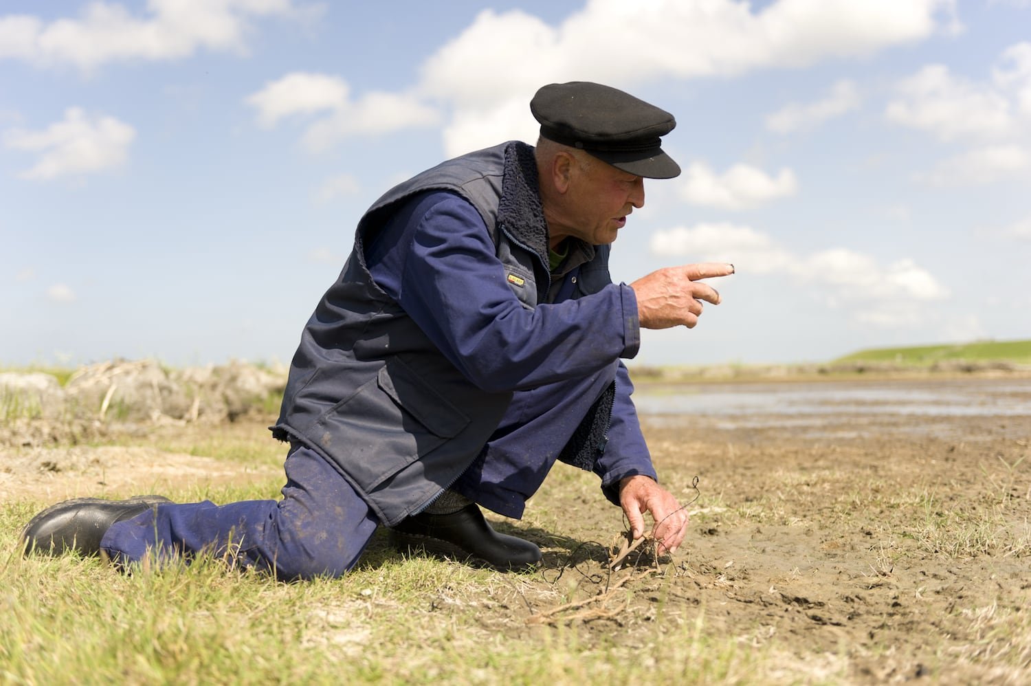 Book "Eendenkooien" — 4