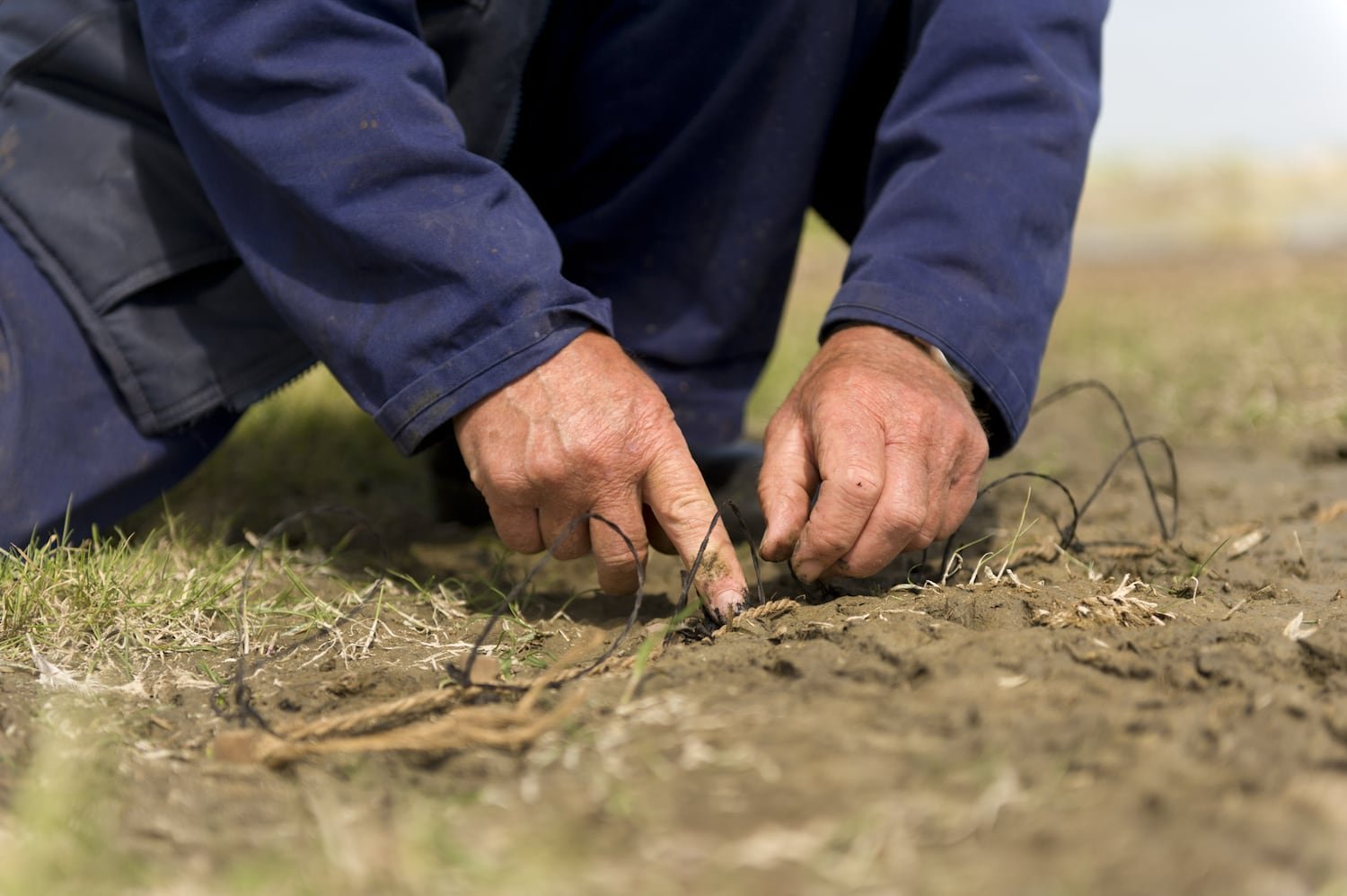 Book "Eendenkooien" — 5