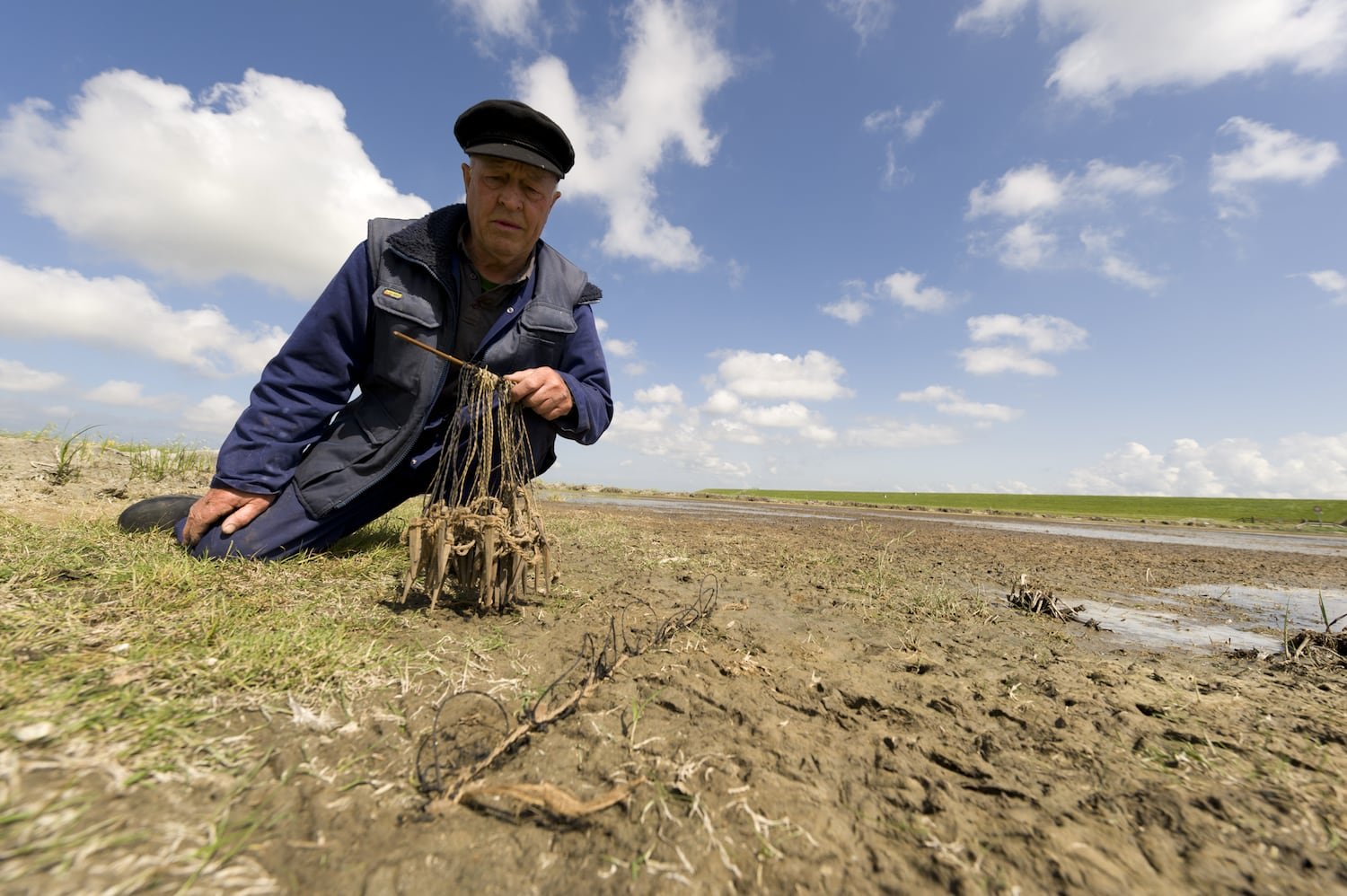 Book "Eendenkooien" — 11