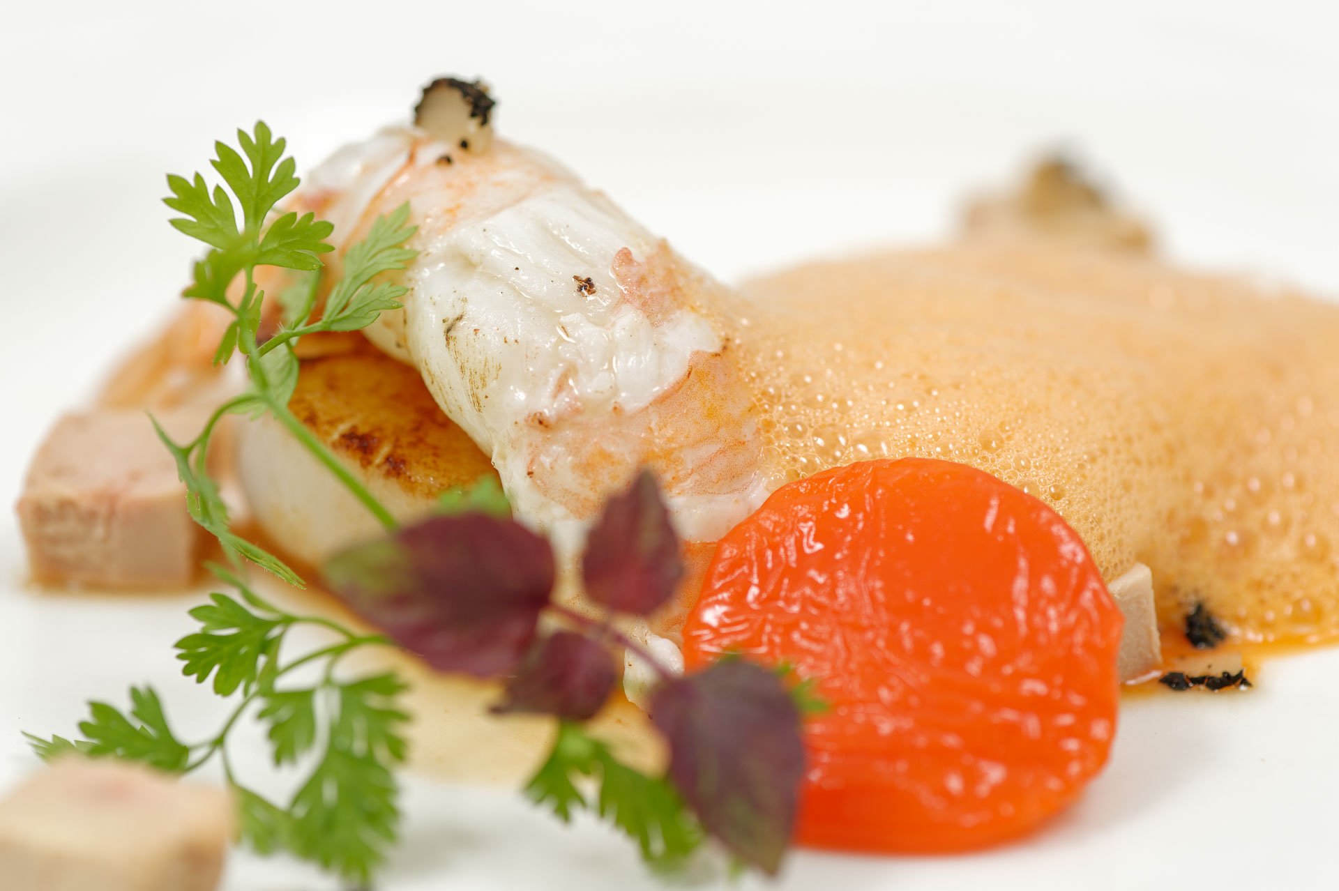 Menu Photography Groene Weide — 13