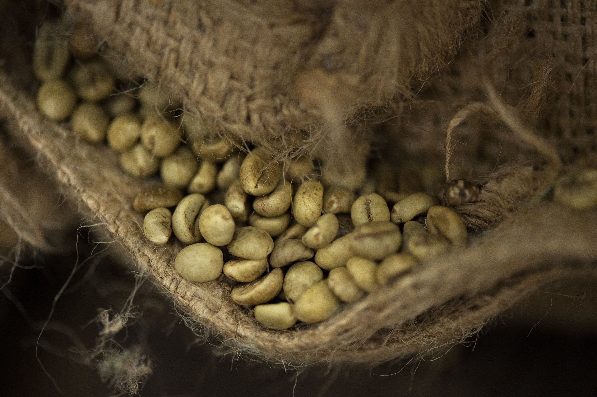 Neuteboom Koffie — 1