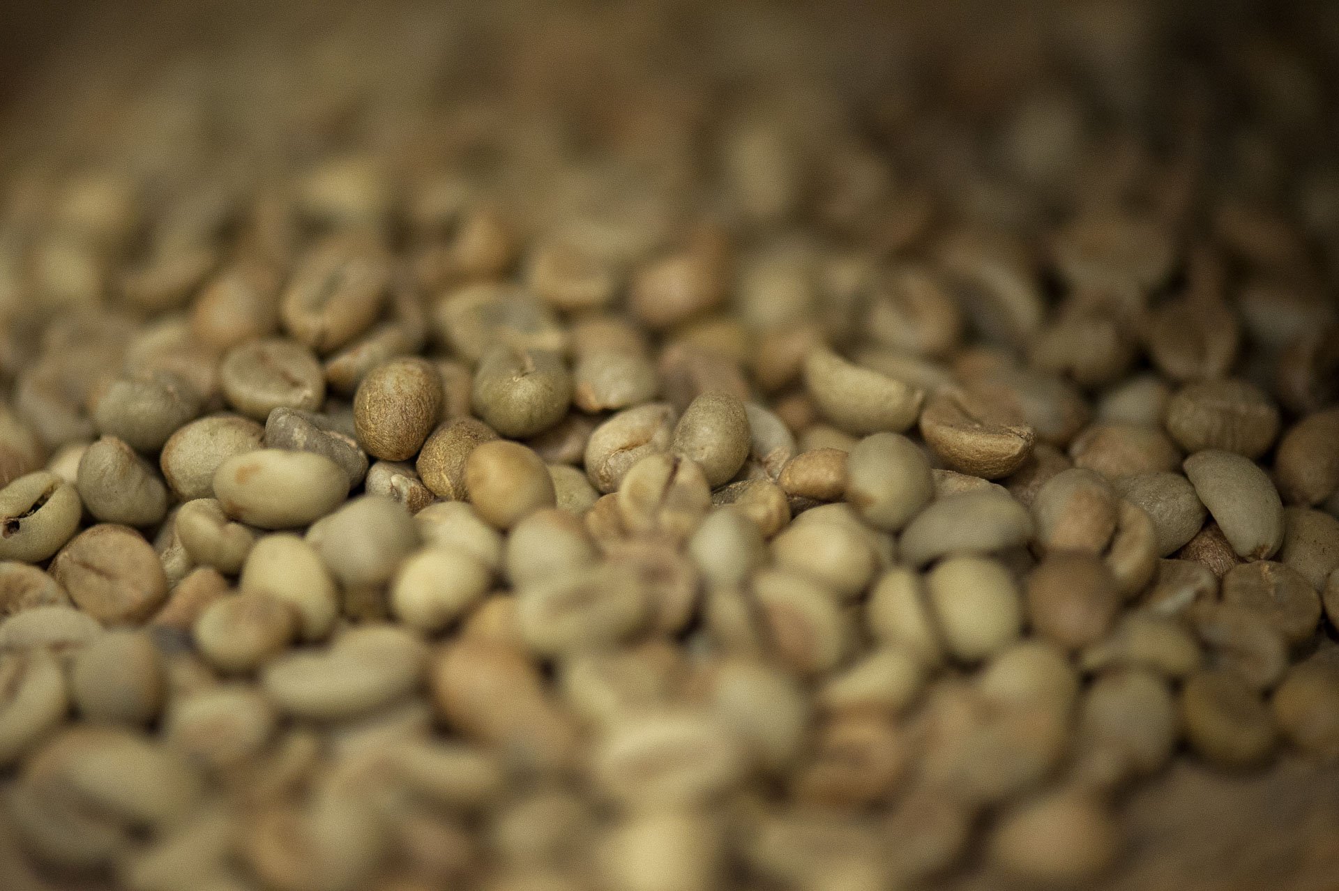 Neuteboom Koffie — 2