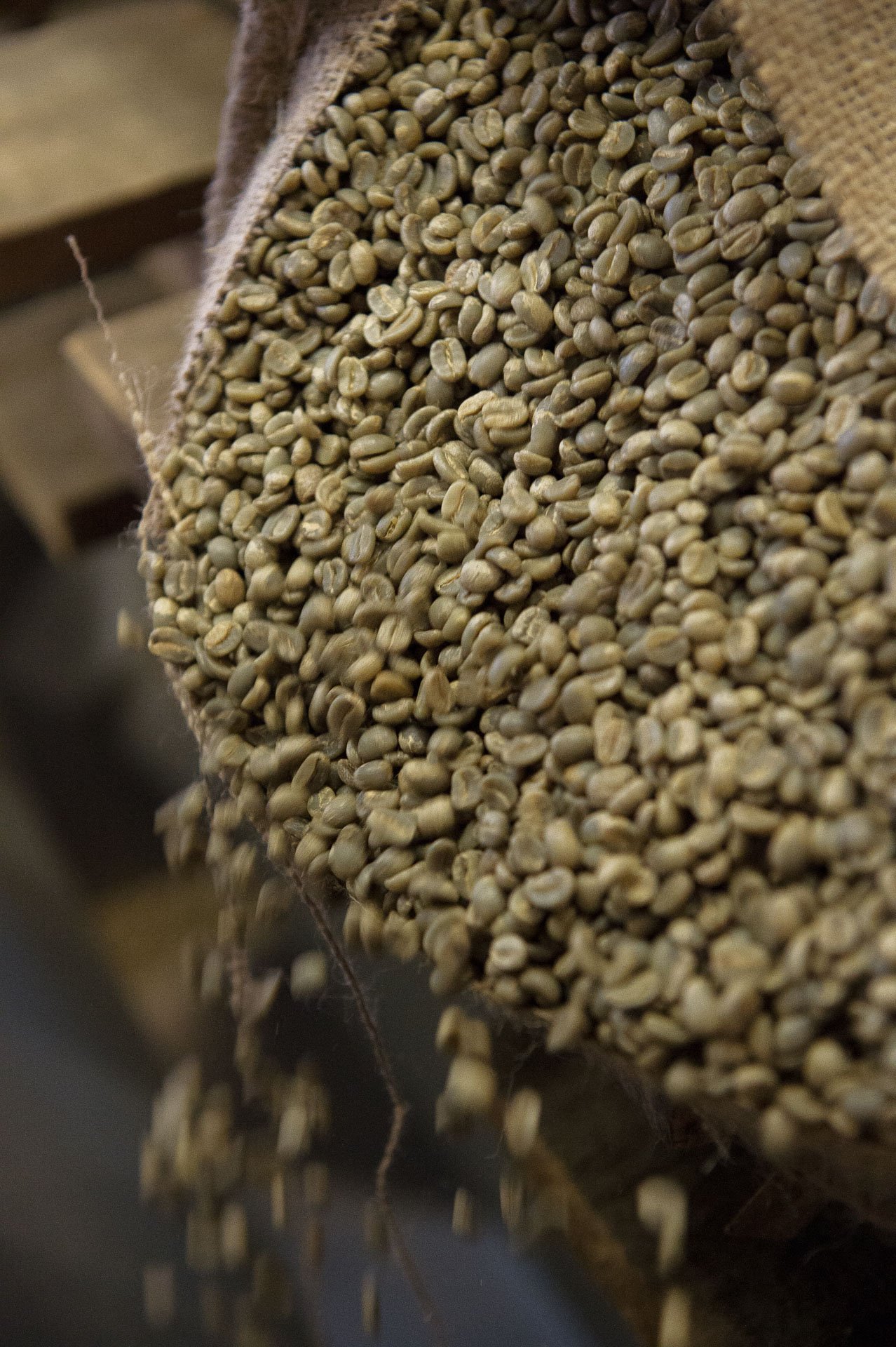 Neuteboom Koffie — 8