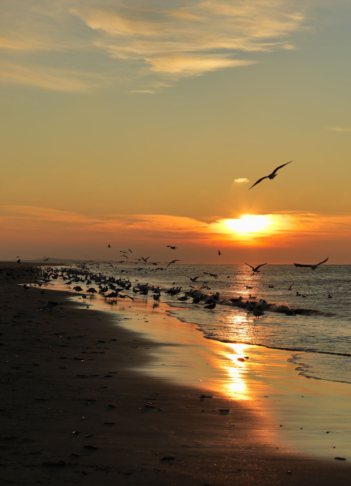 We Built a New Website. Here is What We Actually Did.