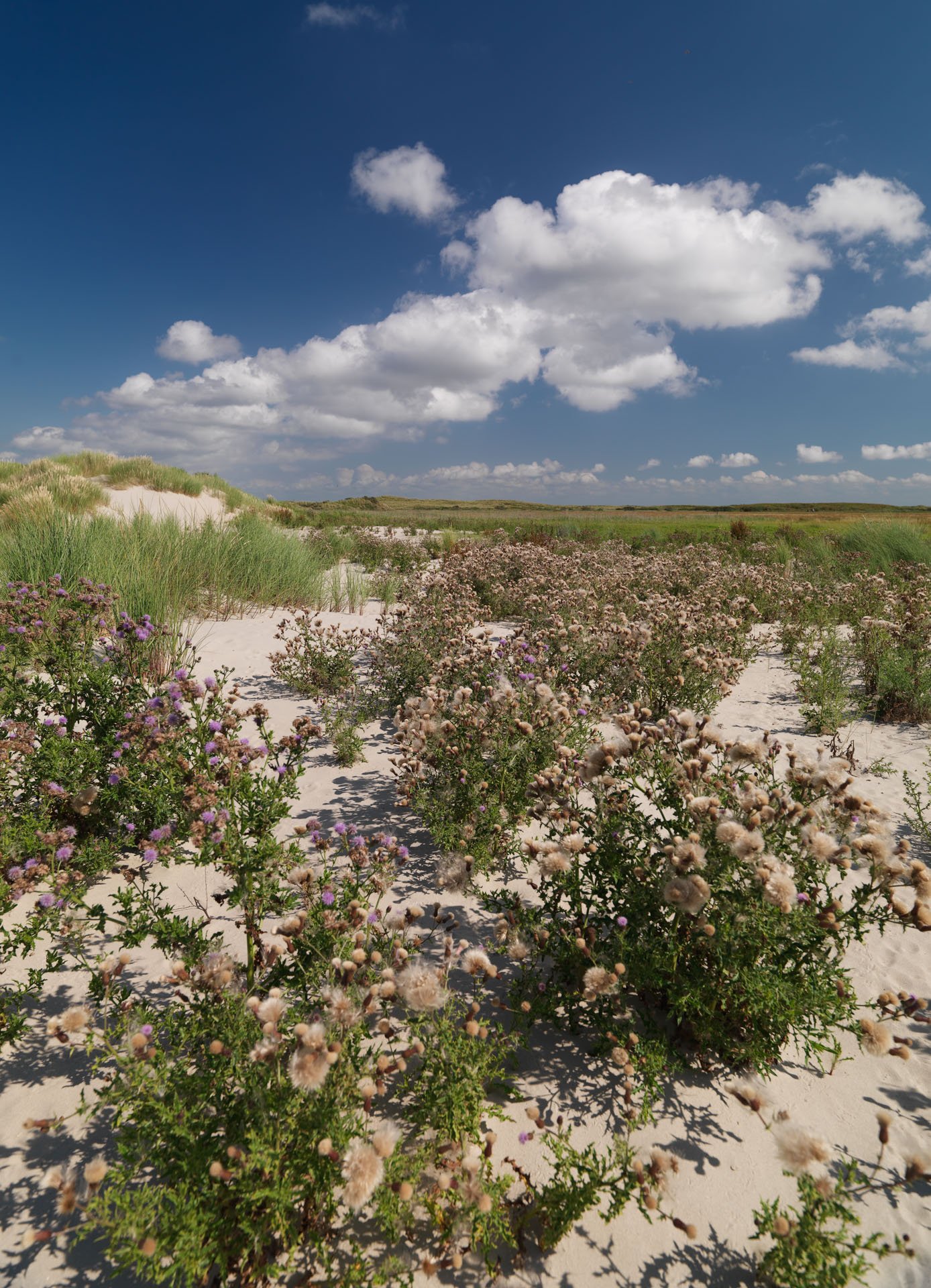 Centrum voor Natuur en Landschap large format prints — 6