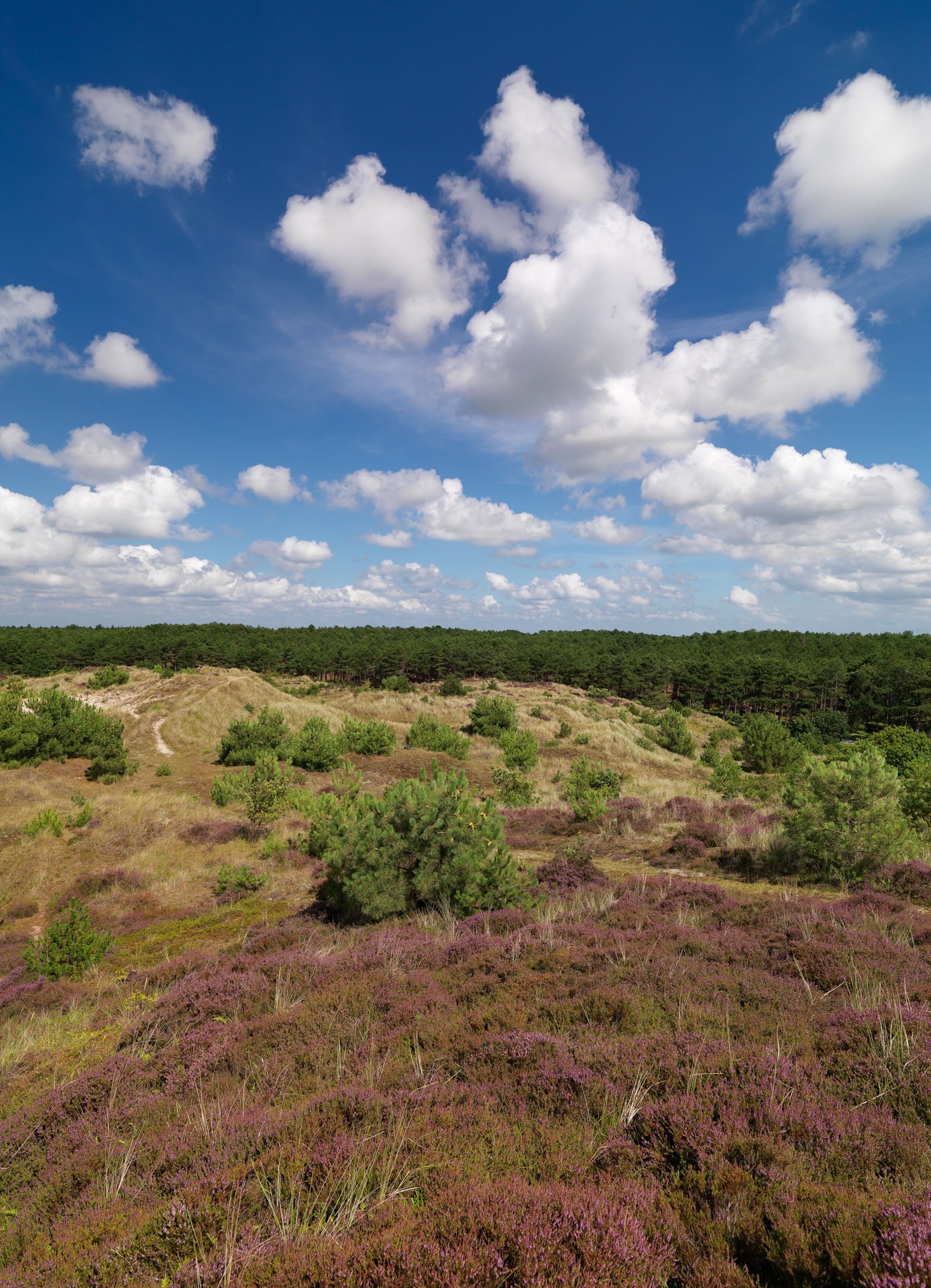 Centrum voor Natuur en Landschap large format prints — 7