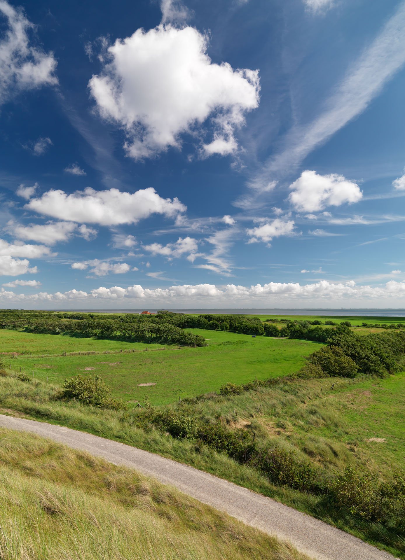 Centrum voor Natuur en Landschap large format prints — 8