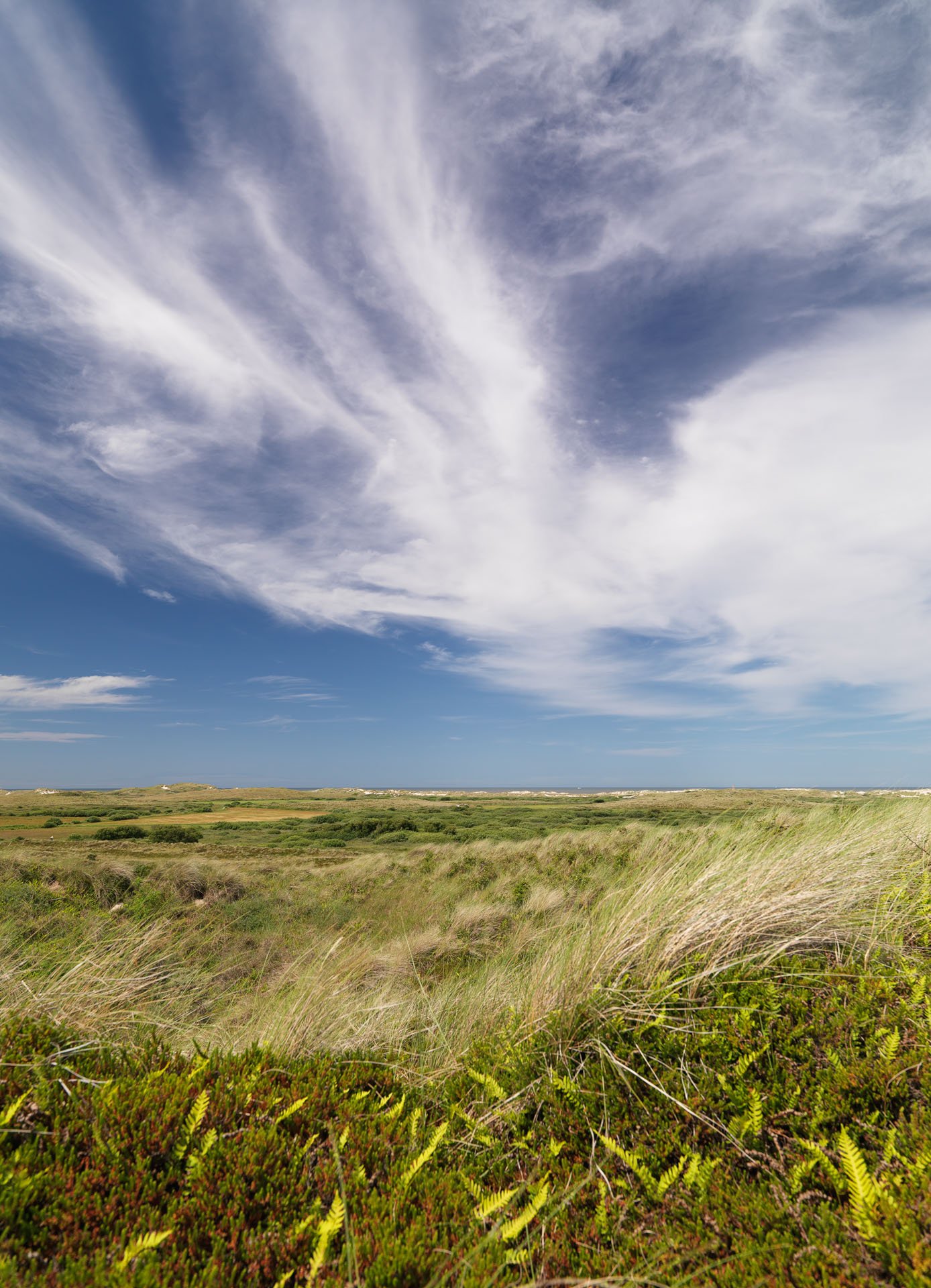 Centrum voor Natuur en Landschap large format prints — 9