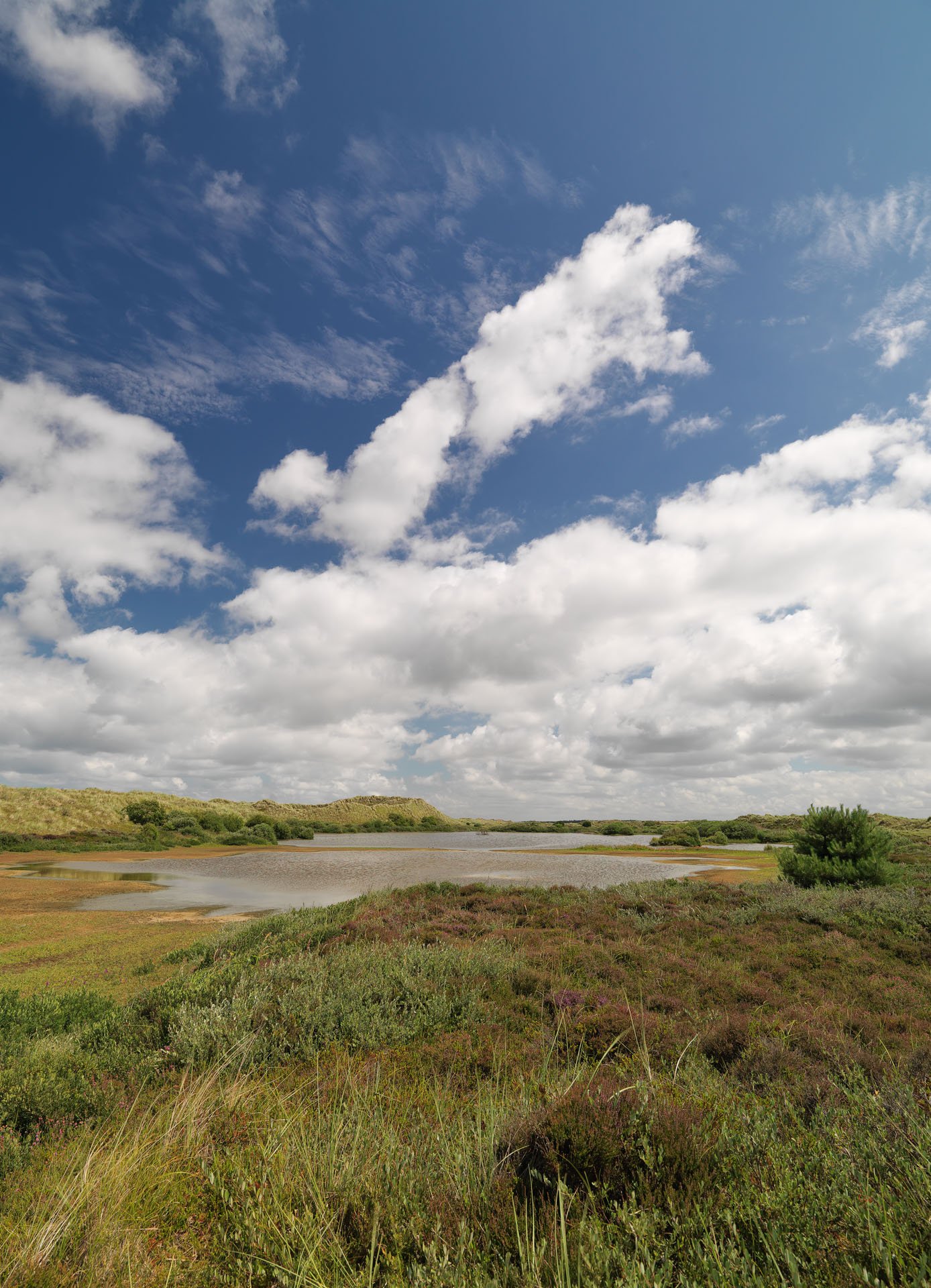 Centrum voor Natuur en Landschap large format prints — 10