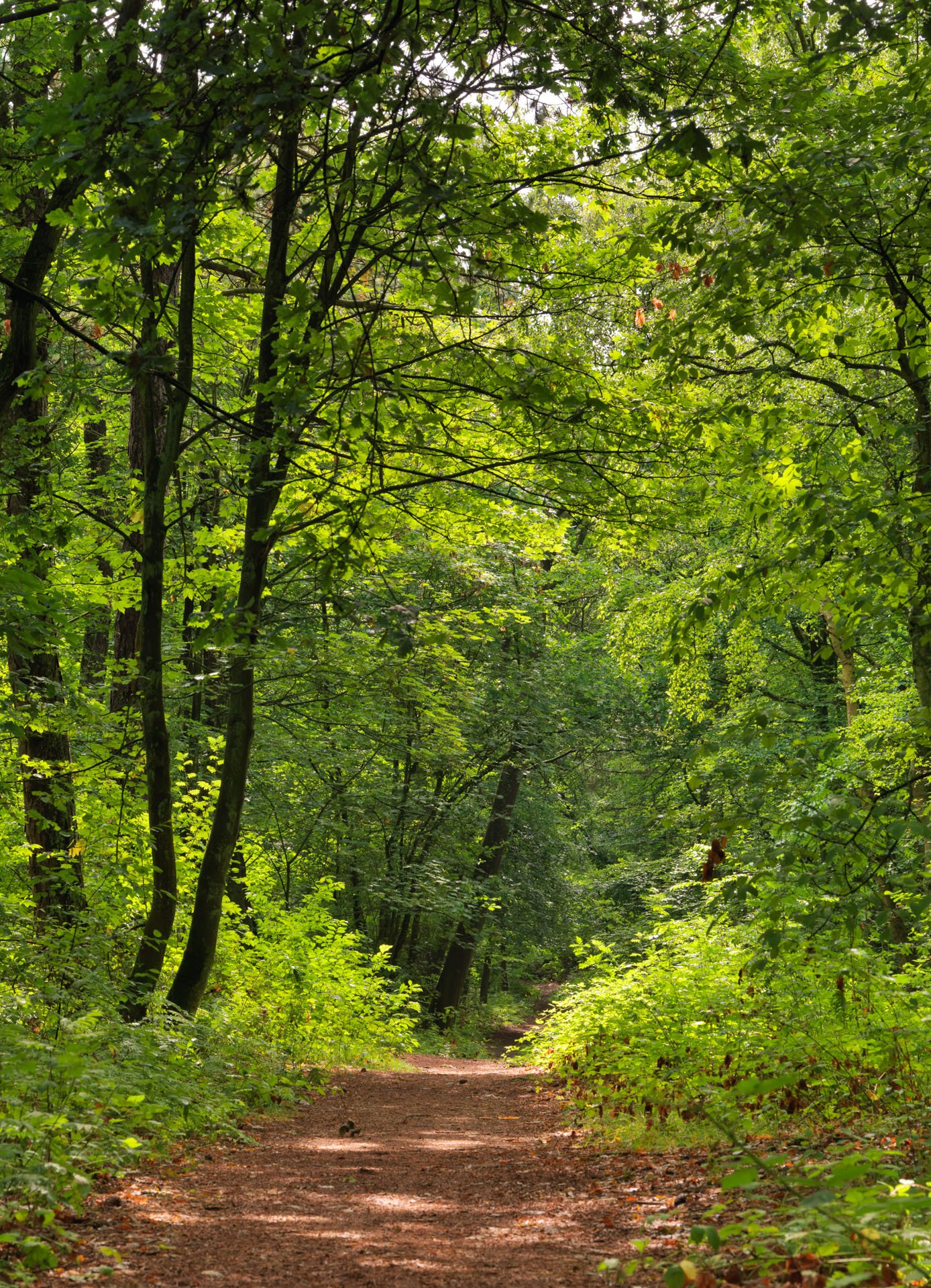 Centrum voor Natuur en Landschap large format prints — 11