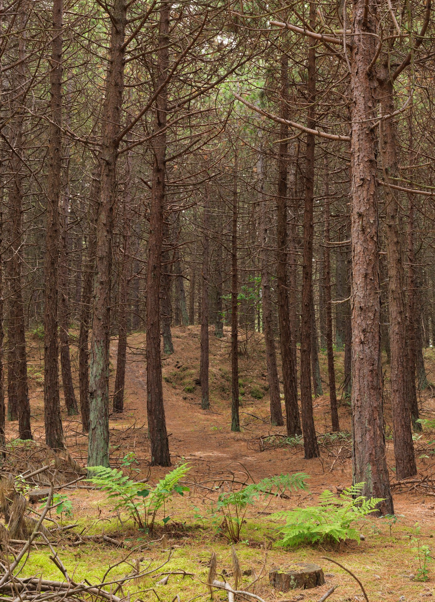 Centrum voor Natuur en Landschap large format prints — 12