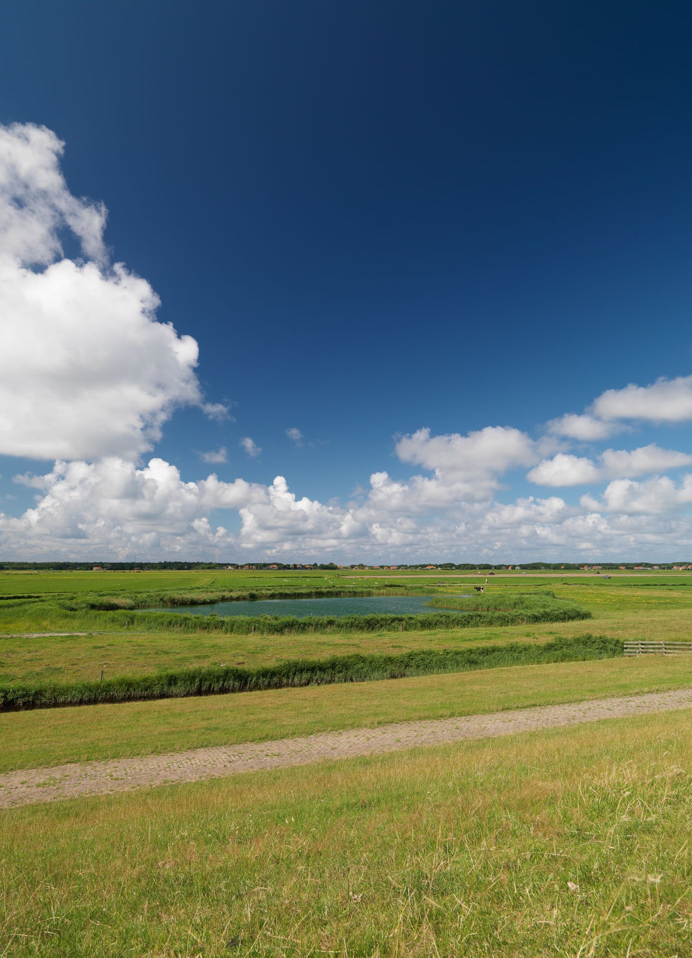 Centrum voor Natuur en Landschap large format prints — 13