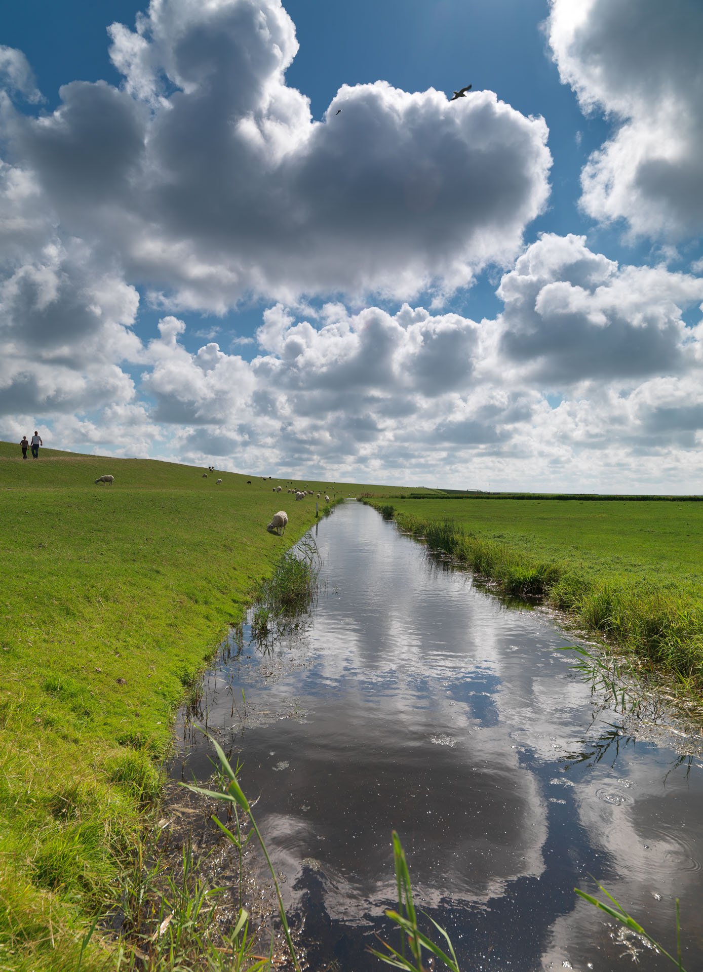 Centrum voor Natuur en Landschap large format prints — 14
