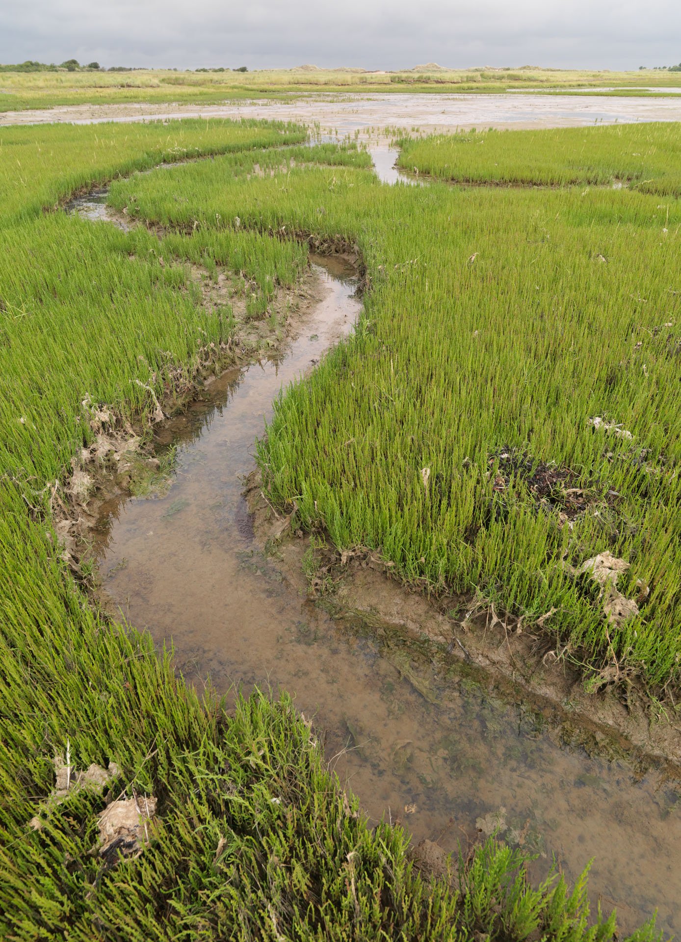 Centrum voor Natuur en Landschap large format prints — 15