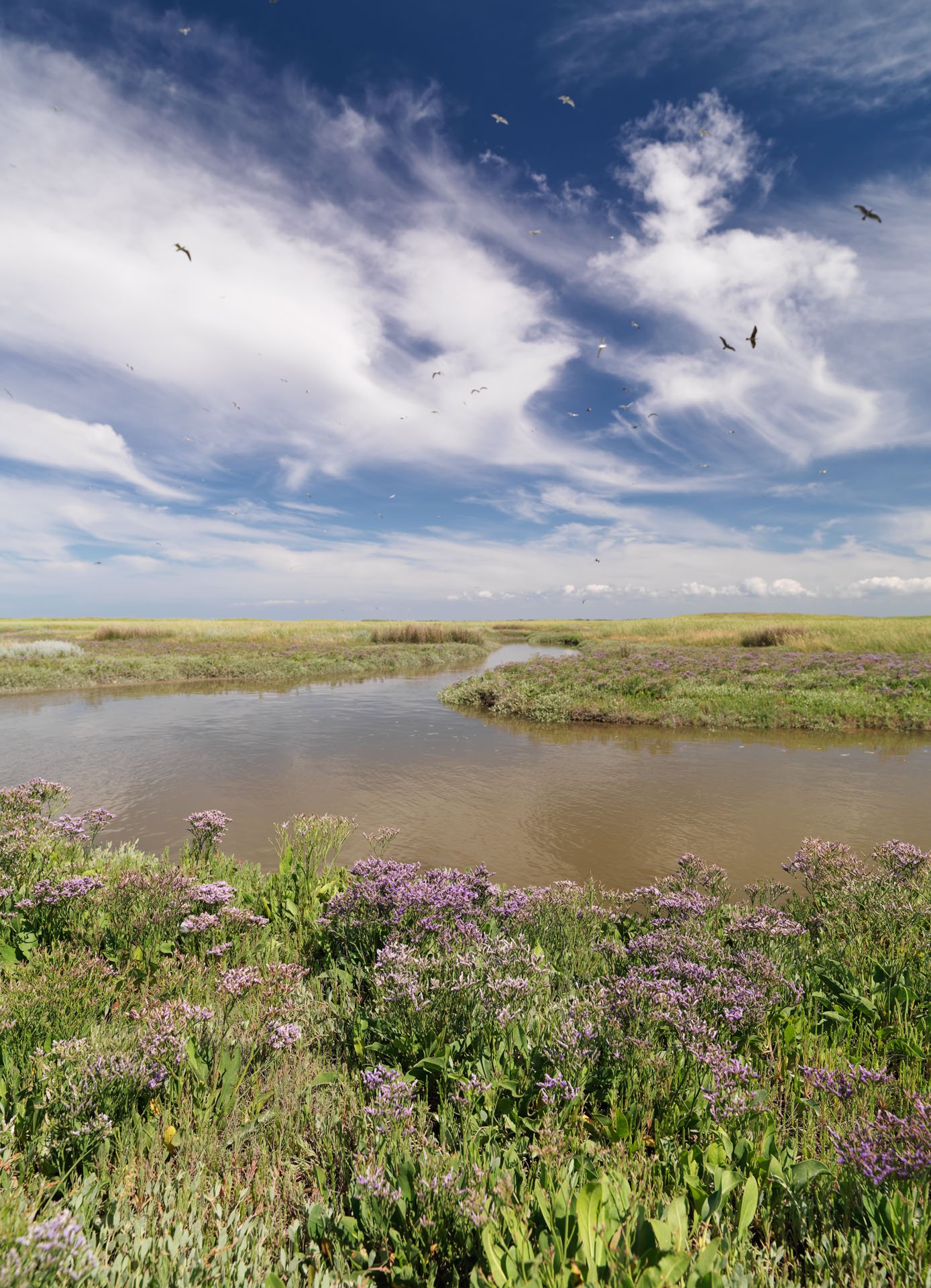 Centrum voor Natuur en Landschap large format prints — 16